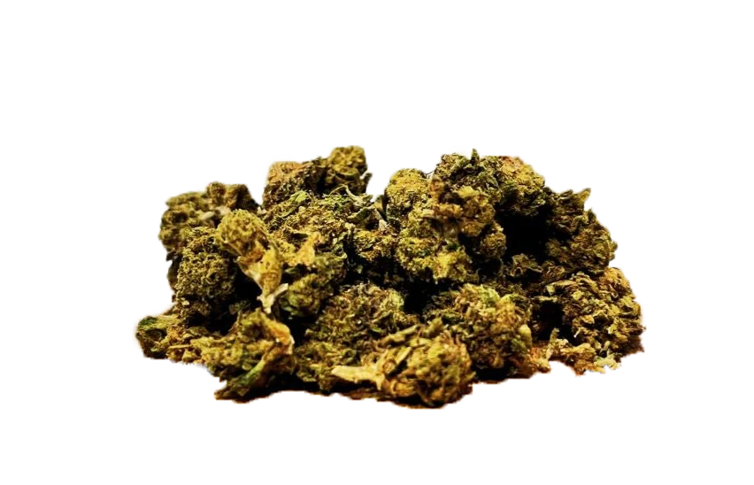 5G – SMALL BUD LEMON 17 % CBD – INDOOR