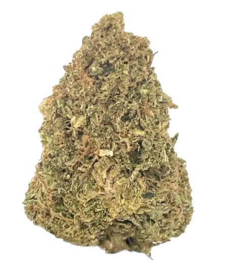 5G - G-13 17% CBD - INDOOR