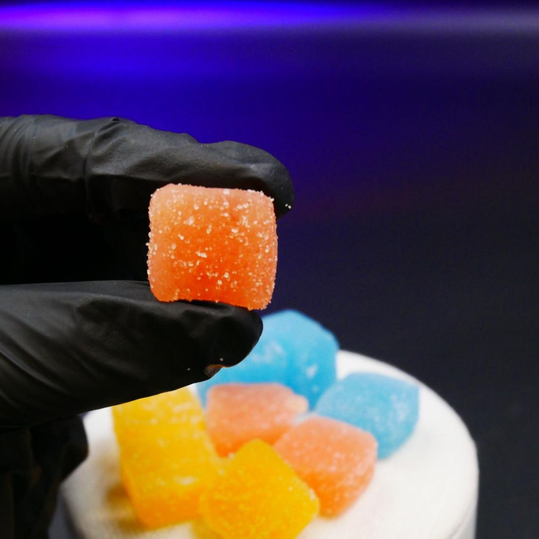 GUMMIES Pastèque <0,3% THC x10