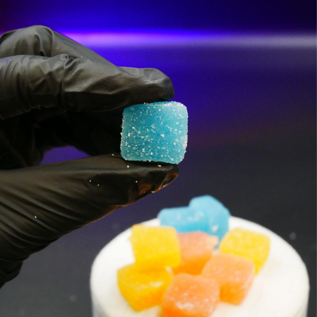 GUMMIES Framboise Bleue <0,3% THC x10