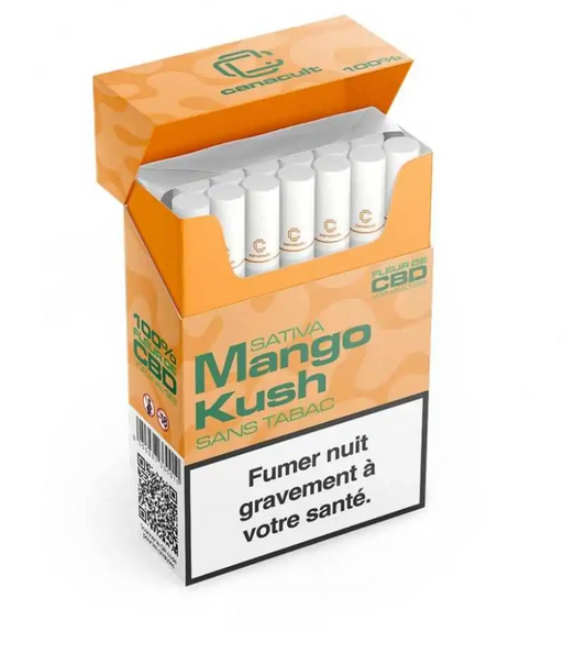 Cigarette - Mango Kush 10 % CBD