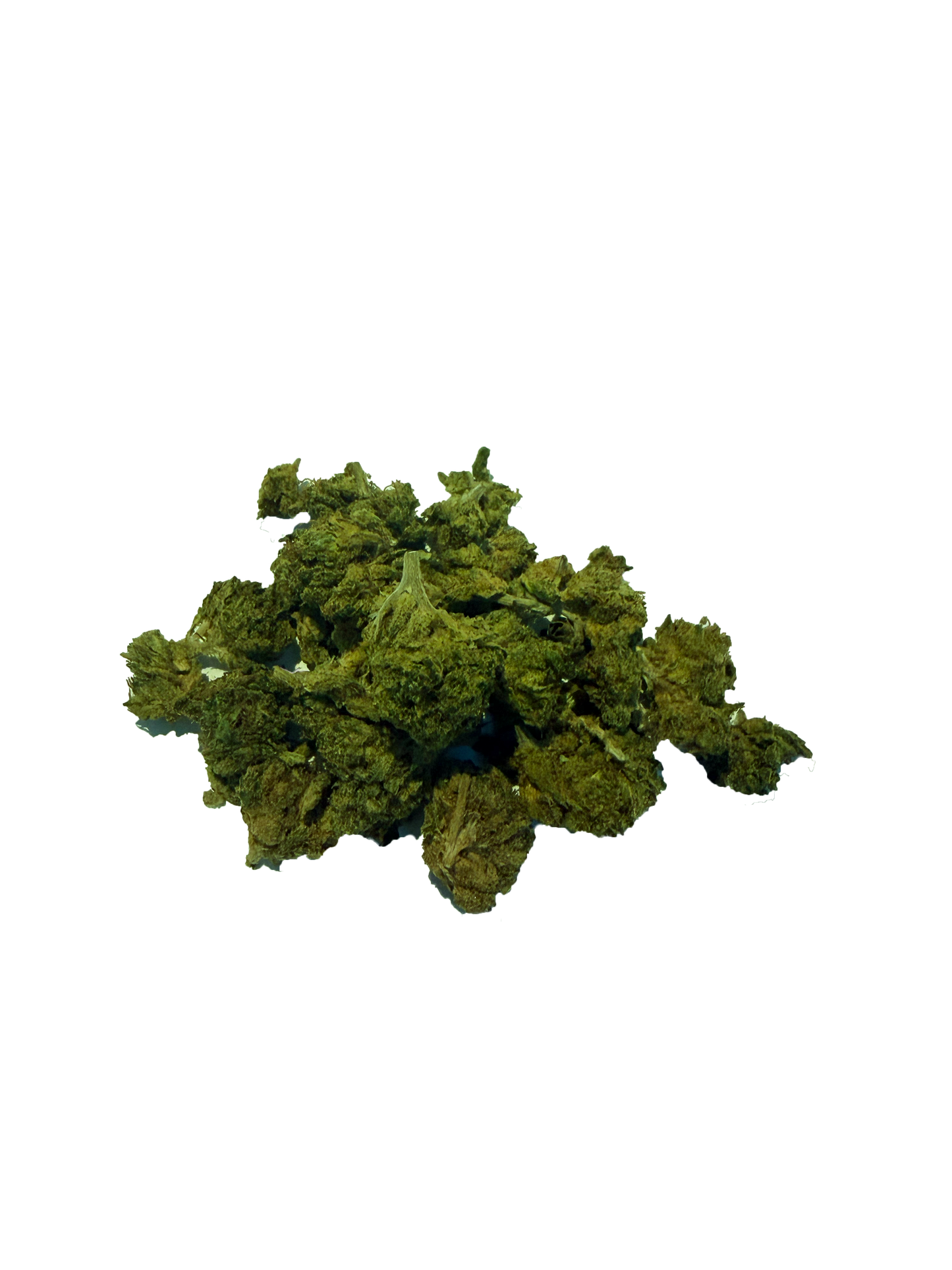 5G - SB G-13 17% CBD - INDOOR
