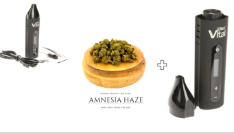 Vaporisateur Performant et Discret pour Herbes VITAL X MAX + 5G Fleur CBD OFFERT