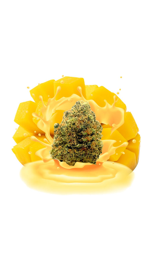 5G - Mango Kush - 25 % CBD - INDOOR