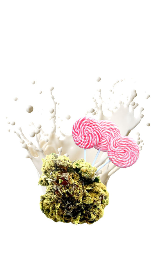 5G – CANDY KUSH 50 % CBD - INDOOR