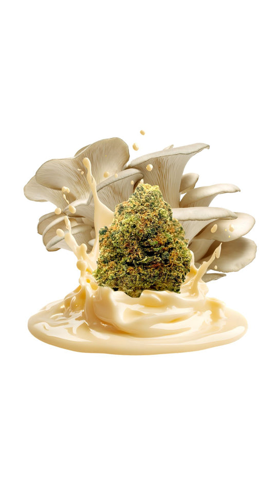 5G – SKUNK & MUSHROOM 27 % CBD - INDOOR