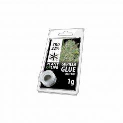RESINE GORILLA GLUE | CBD Solides